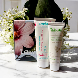 Lavido Hand and Foot Cream Set